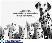 post-280-1191587191.jpg