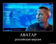 post-17-1262995163.jpg